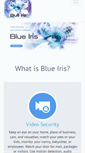 Mobile Screenshot of blueirissoftware.com