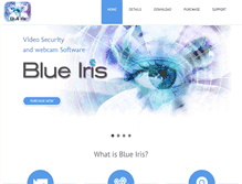 Tablet Screenshot of blueirissoftware.com